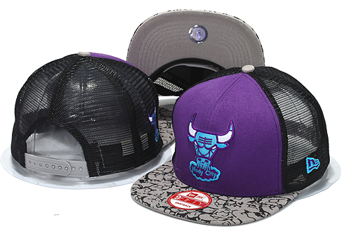 NBA Chicago Bulls NE Trucker Hat #03